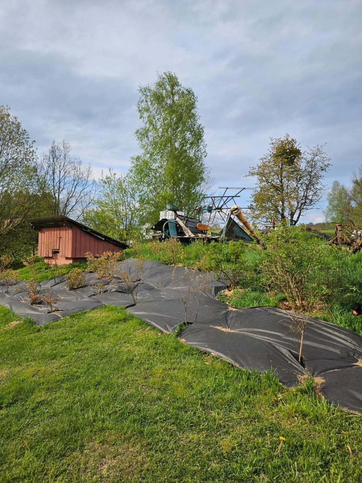 Domek Na Korcie Lubomierz  Exterior foto